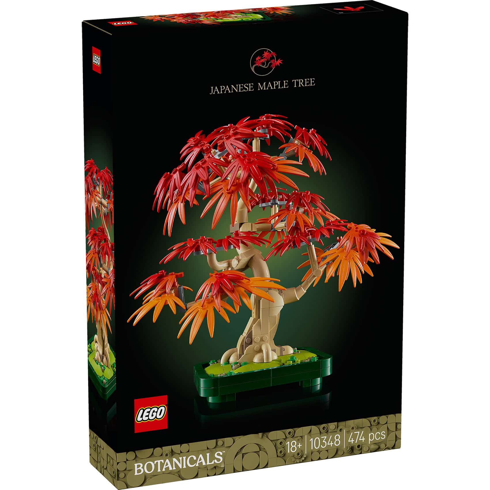 10348 Crvenolisni japanski bonsai javor